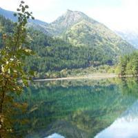 专注入境旅游业务，打造卓越旅行体验