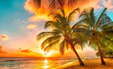 旅游绿皮书 2019~2020年中国国内旅游业务发展分析与预测