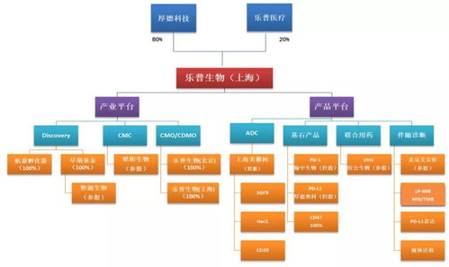 新年重磅 国内百家biotech企业产品线全景集锦（一）——以旅游灵感的医疗未来之旅